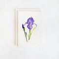 Purple Iris Watercolor Card