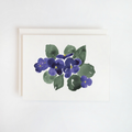 Purple Violets Watercolor Card