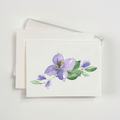 Purple Star Watercolor Boxed Notecards